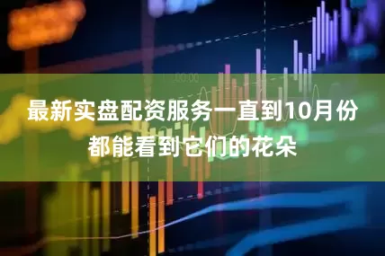 最新实盘配资服务一直到10月份都能看到它们的花朵