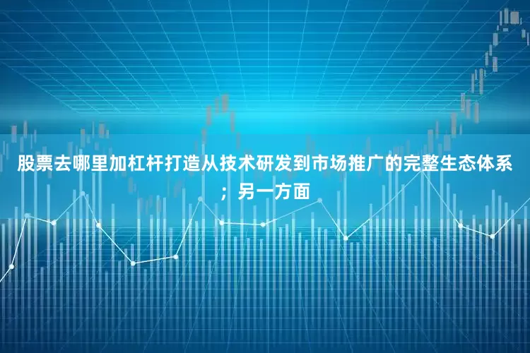 股票去哪里加杠杆打造从技术研发到市场推广的完整生态体系；另一方面